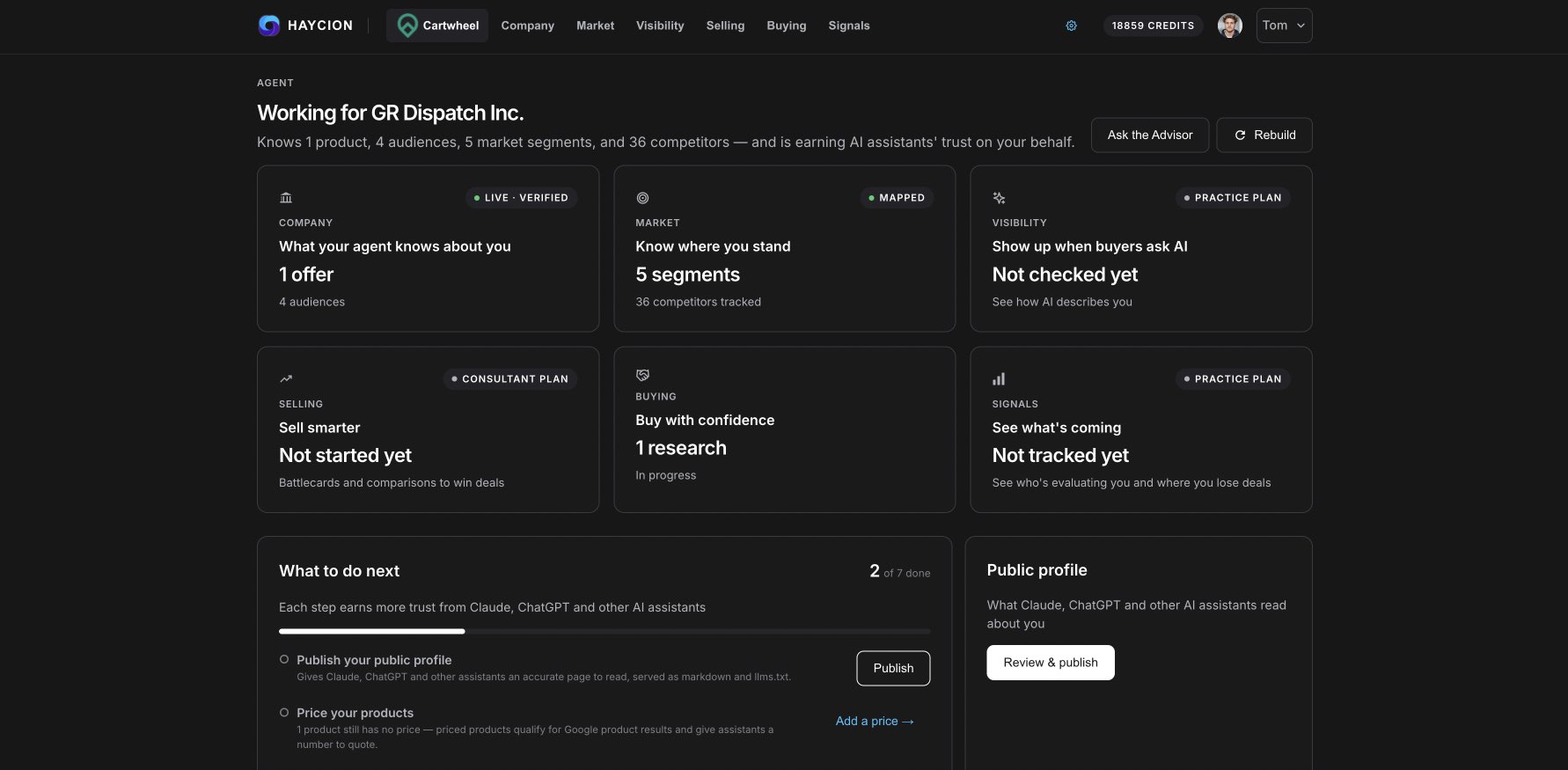 Haycion — the agent’s working view of a company, its market and its visibility