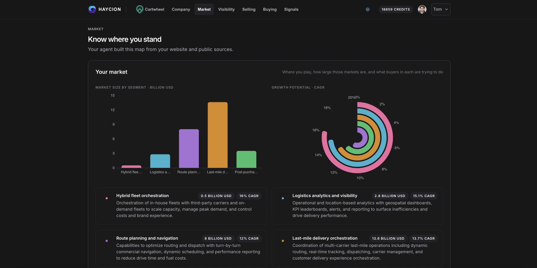 Haycion — market segments sized and scored by growth potential