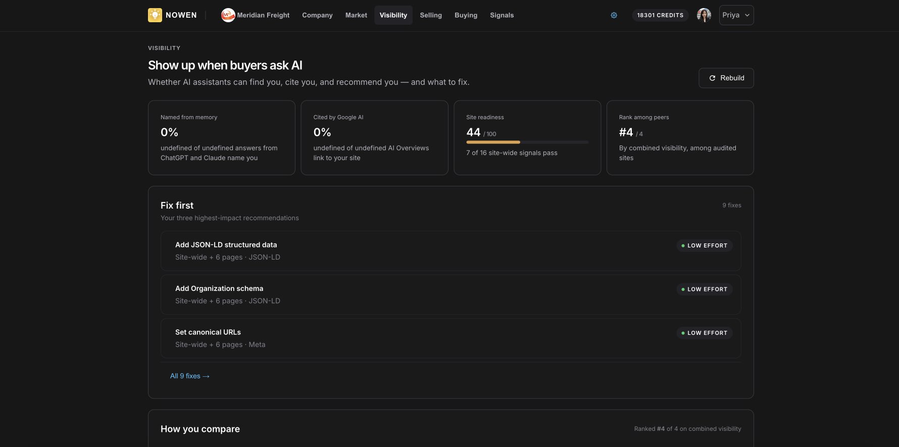 Nowen — visibility into whether AI assistants name, cite and rank the company